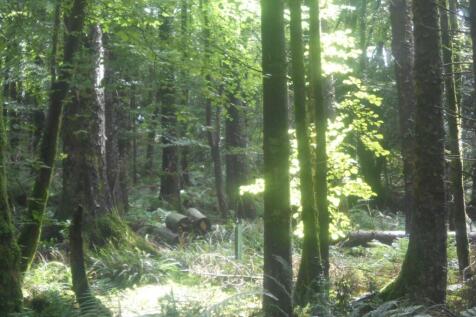 DSCN6285.JPG