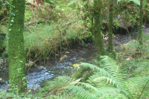 DSCN6288.JPG