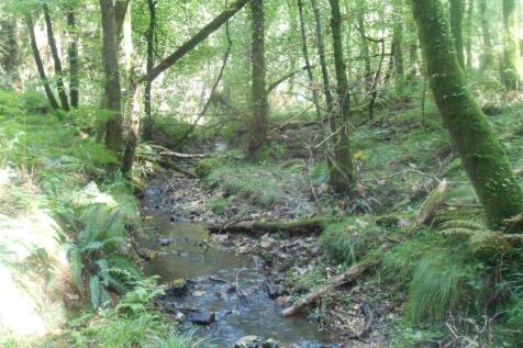 DSCN6330.JPG
