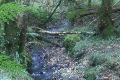 DSCN6332.JPG
