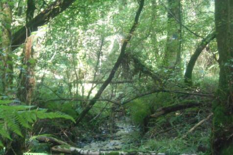 DSCN6334.JPG