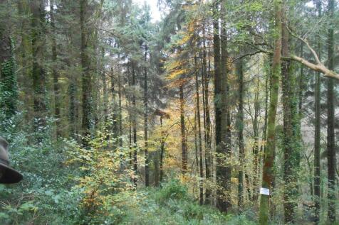 DSCN6540.JPG