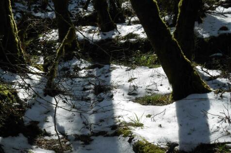 DSCN7108.JPG