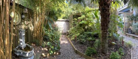 Tropical Garden Area 2.jpg