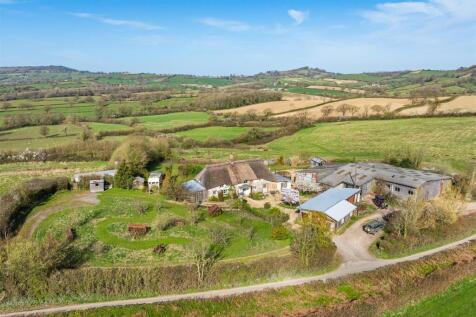 DJI_20250331103925_0910_D-HDR.jpg