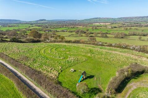 DJI_20250331103938_0915_D-HDR.jpg