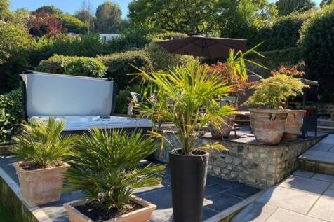 garden photo.jpg