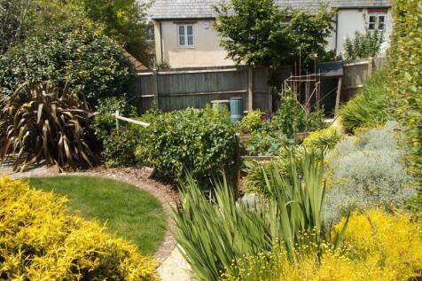 garden photo 3.jpg