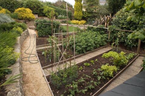 garden photo 7.jpg