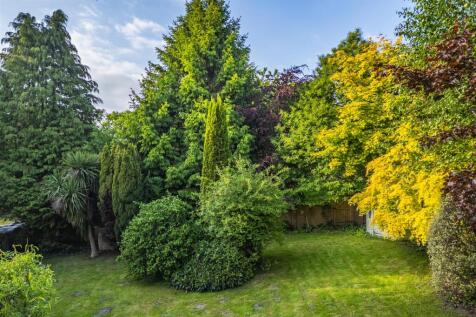 DJI_0918-HDR.jpg