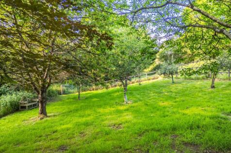 DJI_0923-HDR.jpg