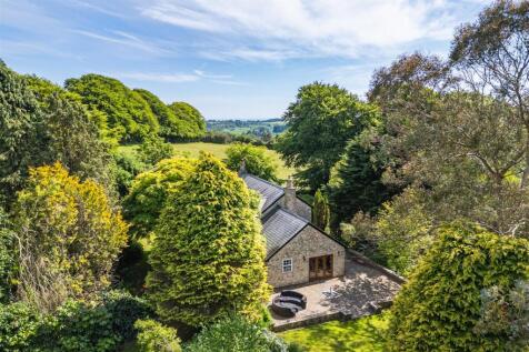 DJI_0944-HDR.jpg