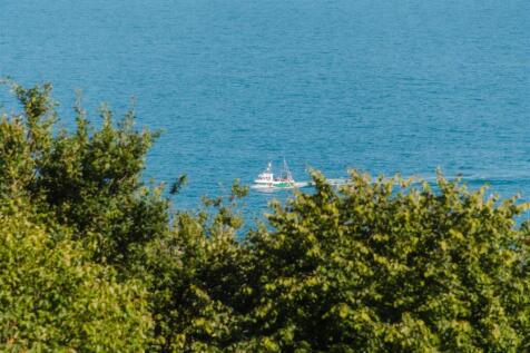 DSC_5610.jpg