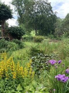 Stagwood, Barnbarroch, Dalbeattie - Williamson and
