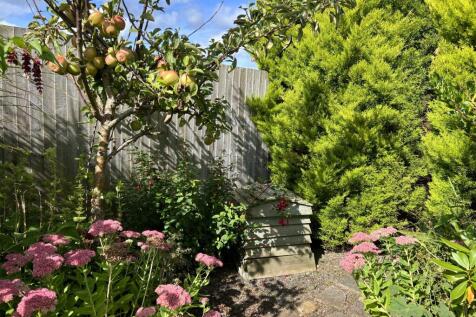 Ivy Cottage, 39 Main Street, Twynholm - Williamson