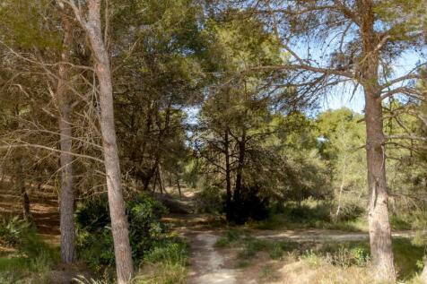 Property Image 33