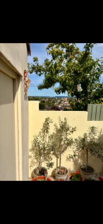 View from garden.png