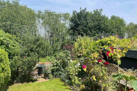 New garden 1.jpg