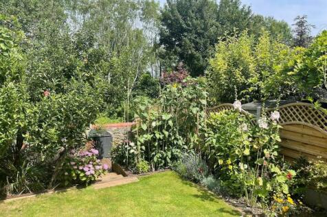 New Garden.jpg