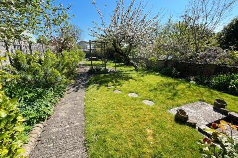 View down garden.jpg