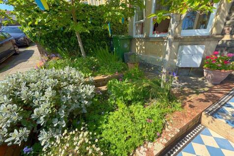 Front garden (1).jpg