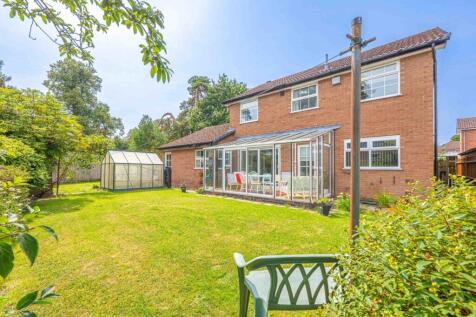 Property Image 13