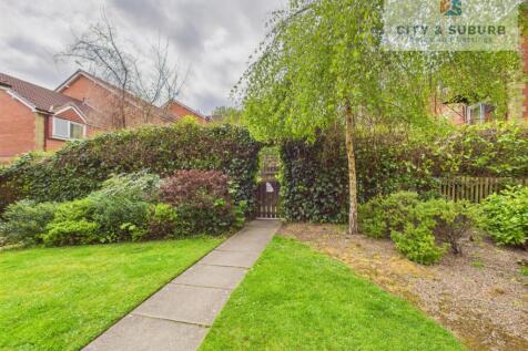 DSC25(s) Marketing Images (14)