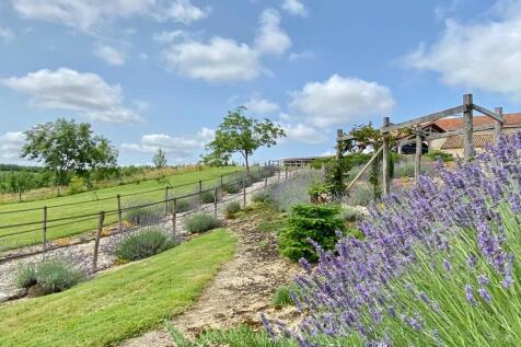 Property Image 4