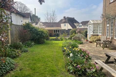 garden shot.jpg