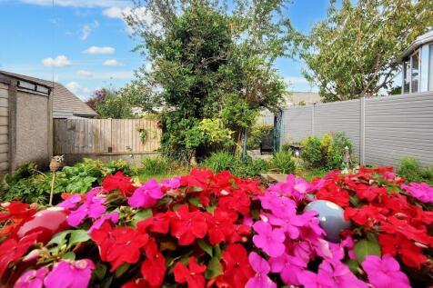 Garden 5.jpeg