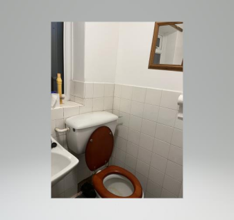 Bathroom 2.png