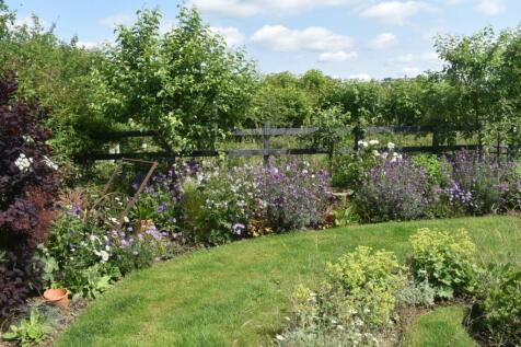 4 Buttercup Close, Lutterworth Garden 3.jpeg