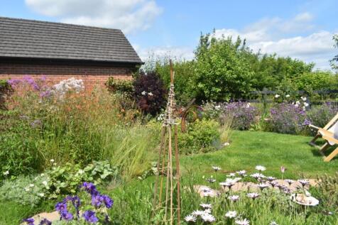 4 Buttercup Close, Lutterworth Garden 7.jpeg