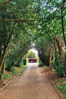 Property Image 35
