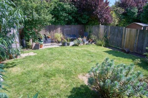 garden 2.jpg