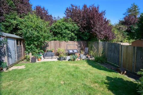 garden 4.jpg