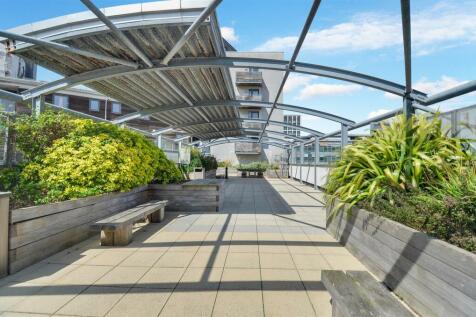 Roof Top Terrace_Pic_ (1).jpg
