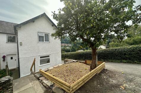 Apple Tree.jpg