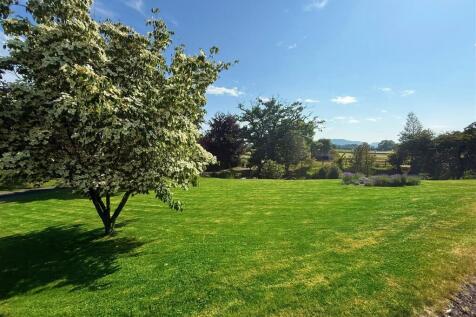 New garden photo 2.jpg