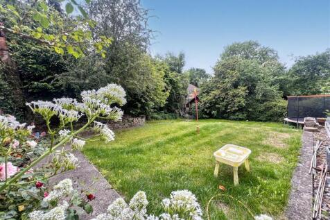 garden 4.jpeg