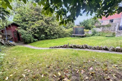 Garden 3.jpeg