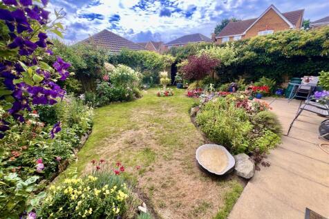 Garden 2.jpeg