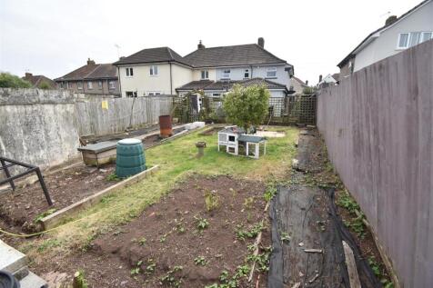 garden.JPG