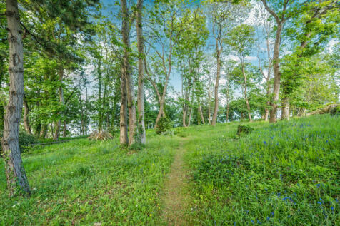 Property Image 26