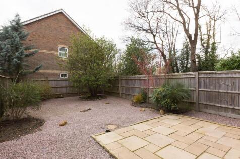 back garden.jpg
