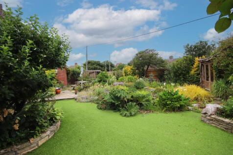 Garden 2.jpg