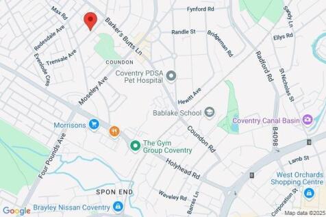 Google Maps Image