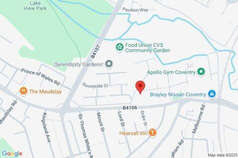 Google Maps Image