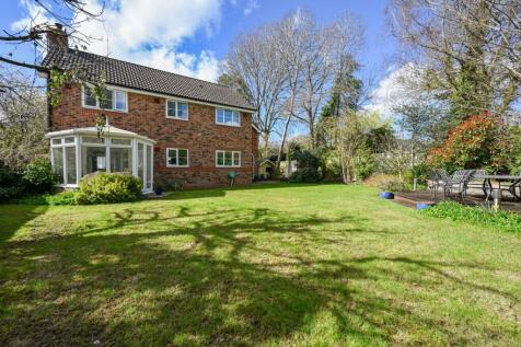Property Image 14