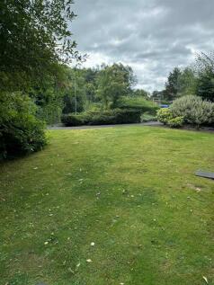 IMG-20240812-WA0051.jpg